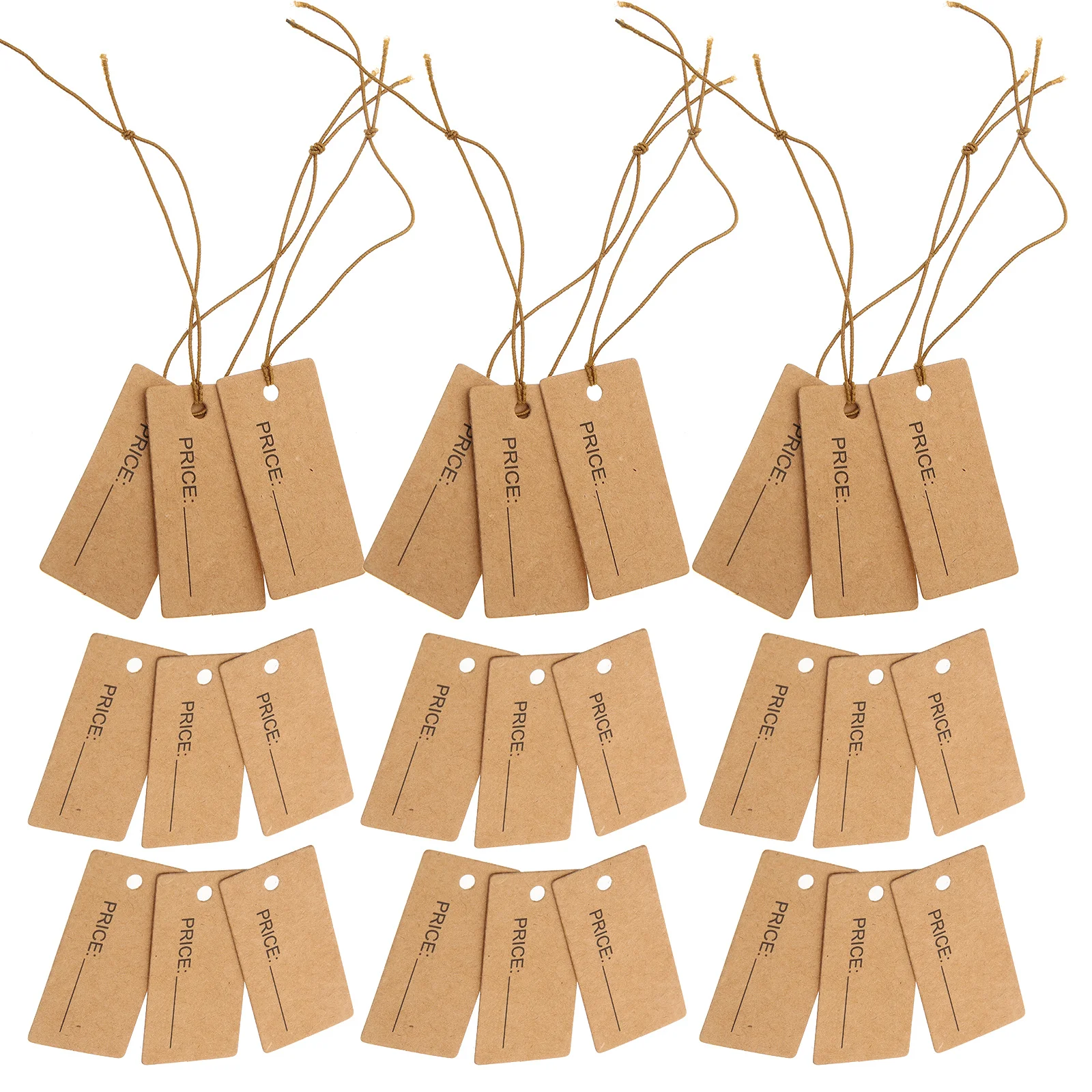 

100Pcs Paper Tags with Strings Hanging Labels for Jewelry Pricing Crafts Gifts Clothing Accessories Decorative Product