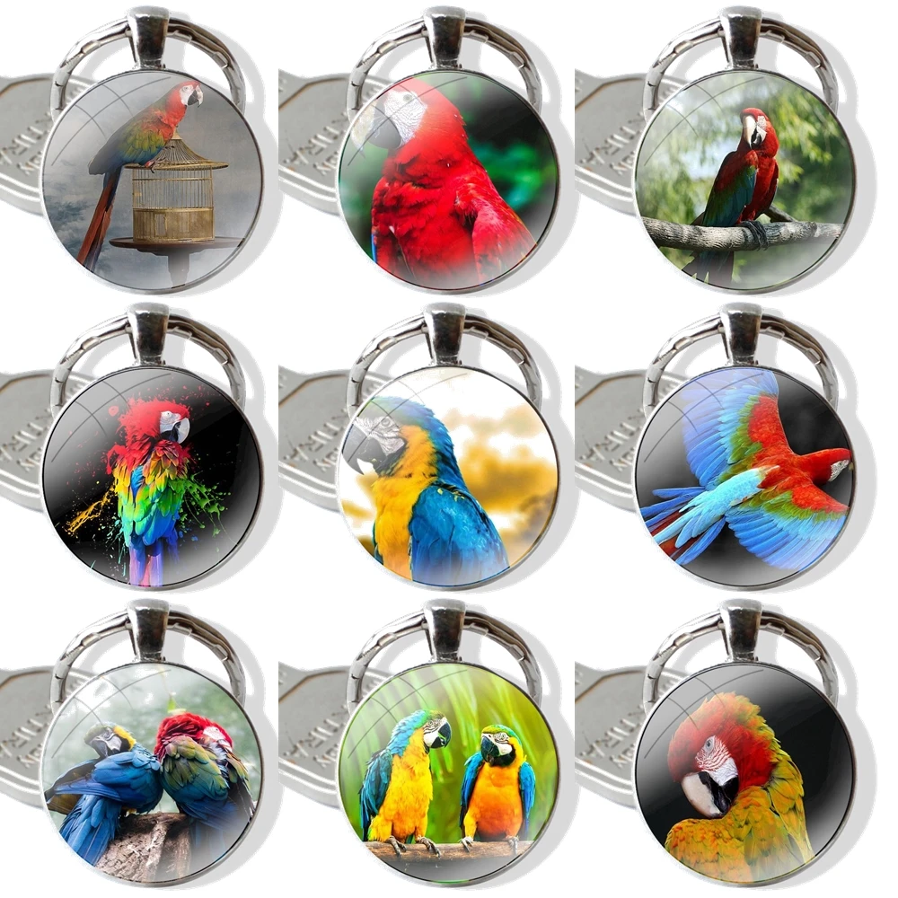 25mm Glass Cabohcon Keychain Key Rings for Women Men Jewelry Gift Colorful Rainbow Macaw Parrot