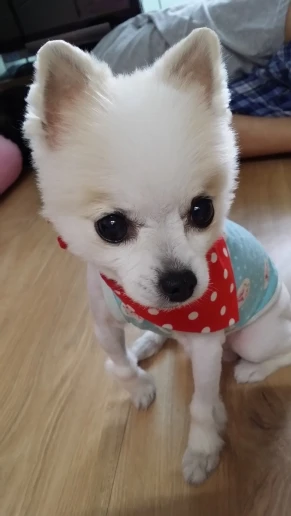 구매후기