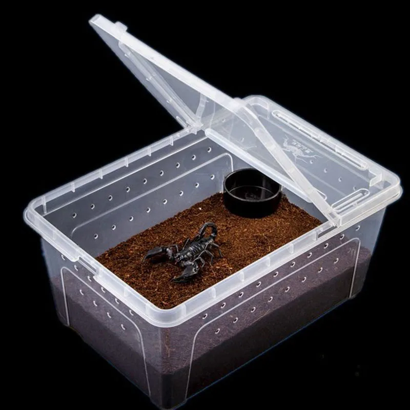 Portable Insect Reptile Terrarium Habitat Feeding Box with Breathable Holes Mini Pet Houses for Spider Lizard Turtle Crab Snake