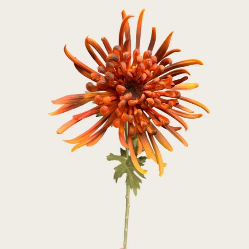 3 Stück Künstliche Latex-Chrysanthemen Plastikblumen Hochzeitsdekoration Blumenarrangement Heimdekoration Party Blumen Foto-Requisiten – Detail 8