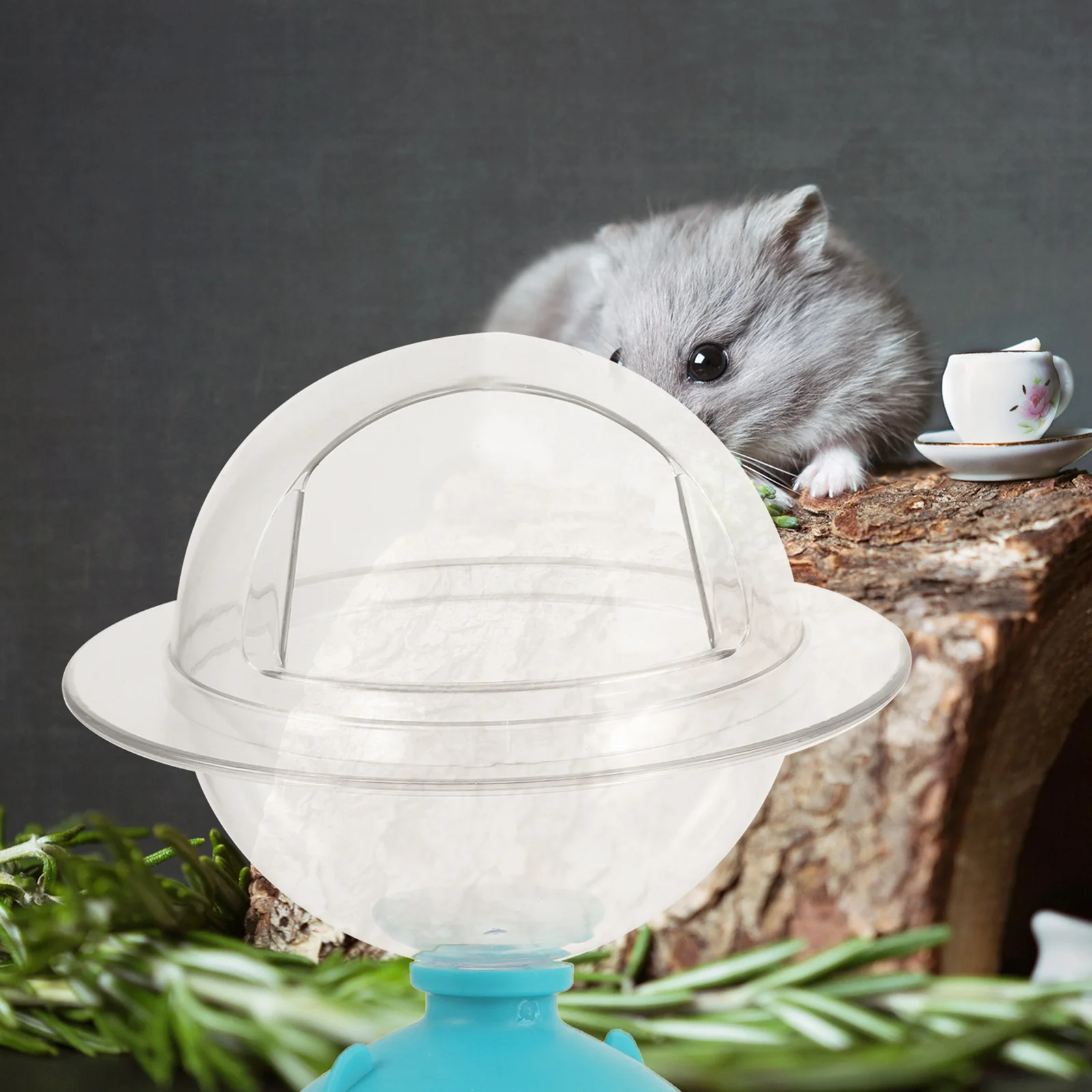 صندوق حمام الهامستر حوض استحمام رملي صغير للحيوانات لخنزير غينيا شينشيلا الفئران قابل لإعادة الاستخدام حوض استحمام بلاستيكي للحيوانات الأليفة قفص قوي