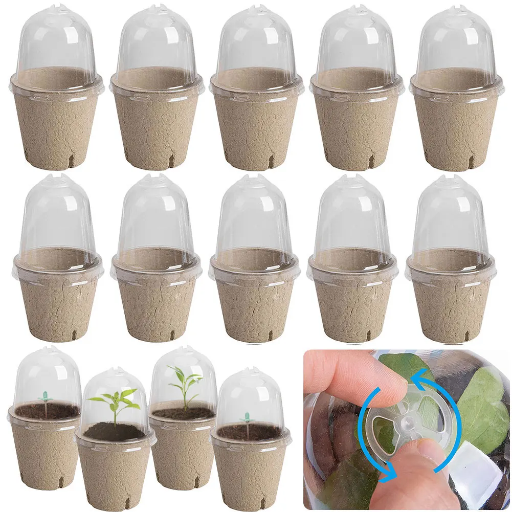 10Pcs Seedling Cup Cultivation Pot Transparent Lid Germination Planter Biodegradable Greenhouse Breeding Box Gardening Supplies