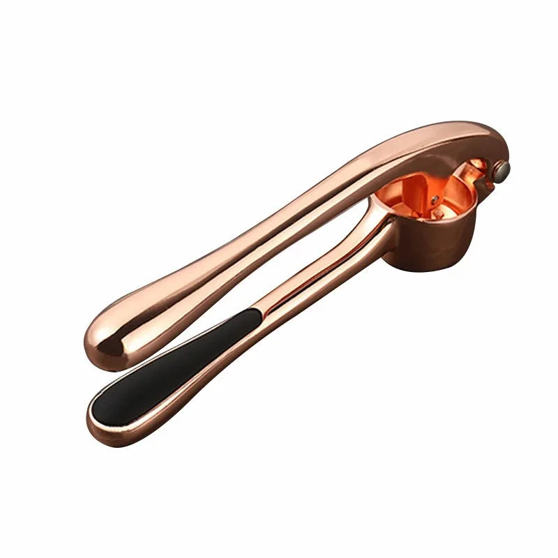 Multifunctional Garlic Press Tool,Stainless Steel Garlic Mincer for , Ginger, Nuts, Home Kitchen Accessory with Non-Slip Handle