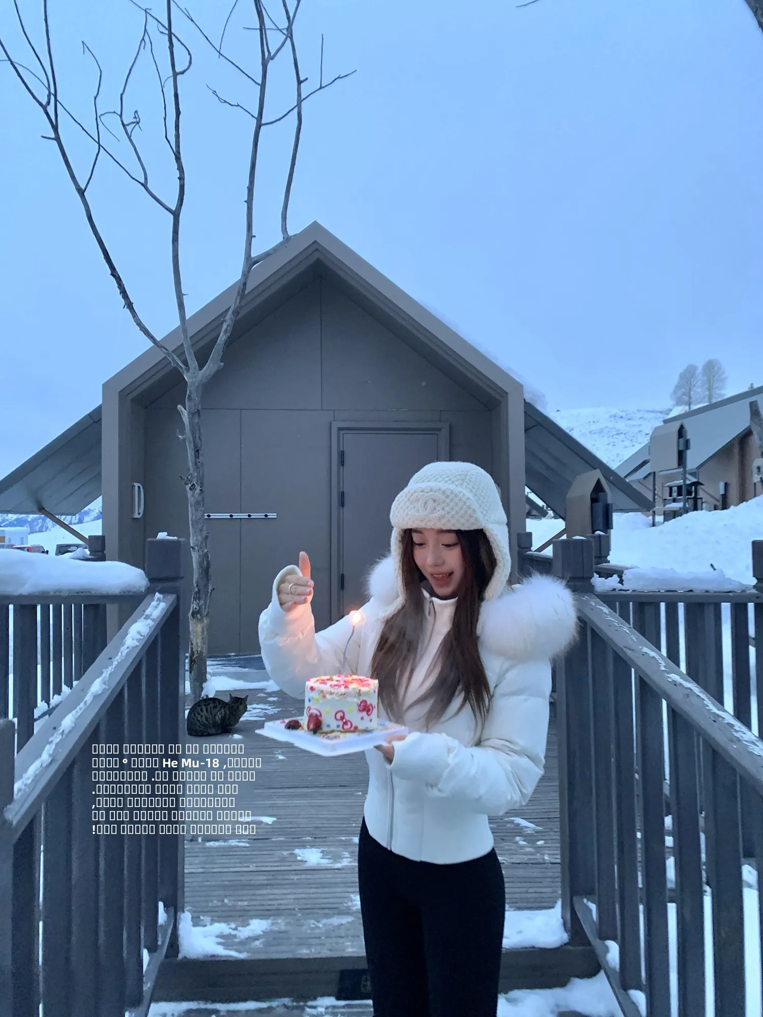 

Женская теплая пуховая куртка с отстегивающимся меховым воротником, на бархатной подкладке, с регулируемой талией, на молнии, белая, пушистая, повседневная