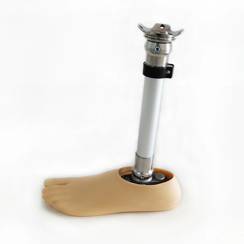

High-quality lower limb prostheses below the knee