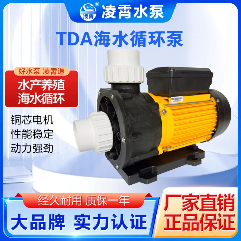 

TDA35 TDA50 TDA75 TDA100 Jacuzzi Pump Plastic Circulation Pump