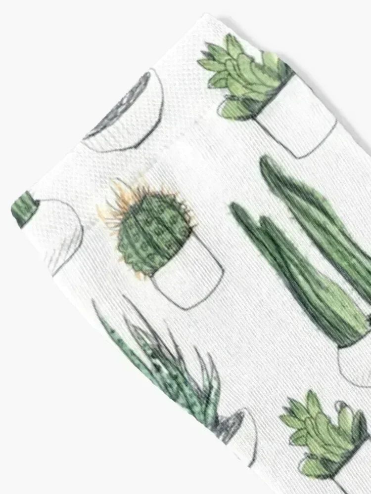 Watercolour cacti & succulents Socks summer heated Men's Socks Luxury Women's