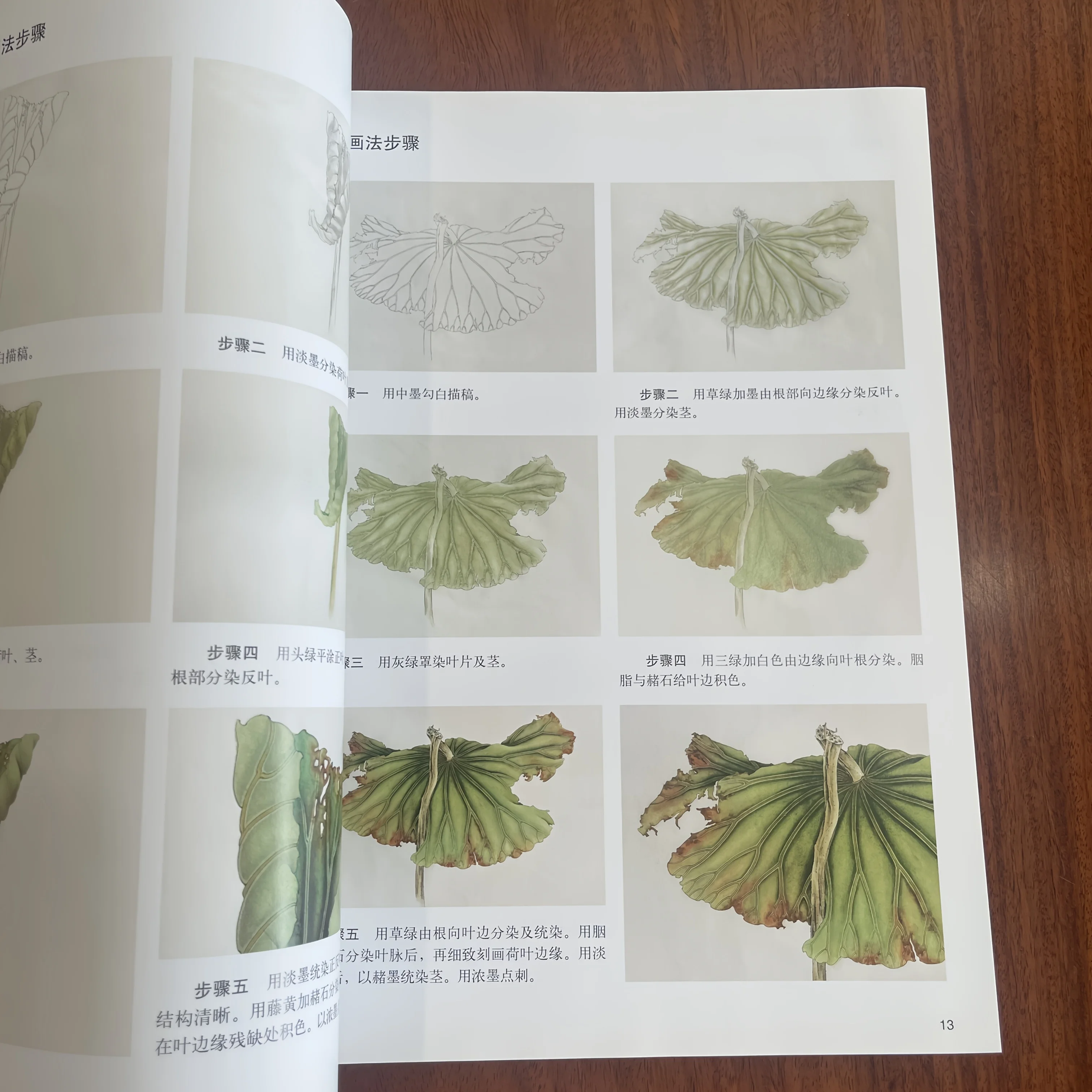 Lotus Coloring Methods: Gongbi Water Flower Painting with Layering Tutorials