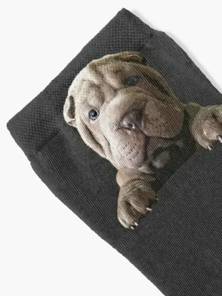 Shar Pei Cute Puppy Dog Socks cotton halloween Run Men Socks Luxury Brand Women's