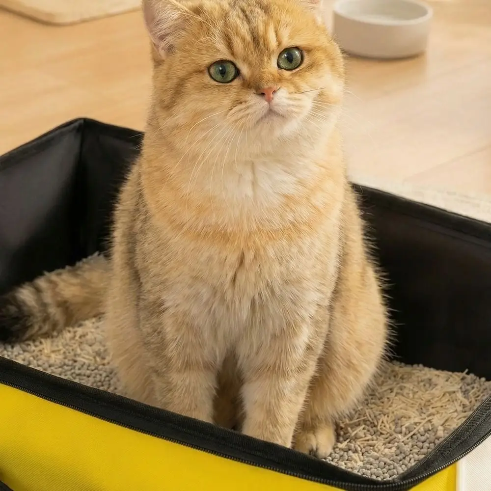 

Oxford Cloth Foldable Cat Litter Box Waterproof Rectangular Portable Pet Toilet With Zipped Lid Large Capacity Travel Litter Pan