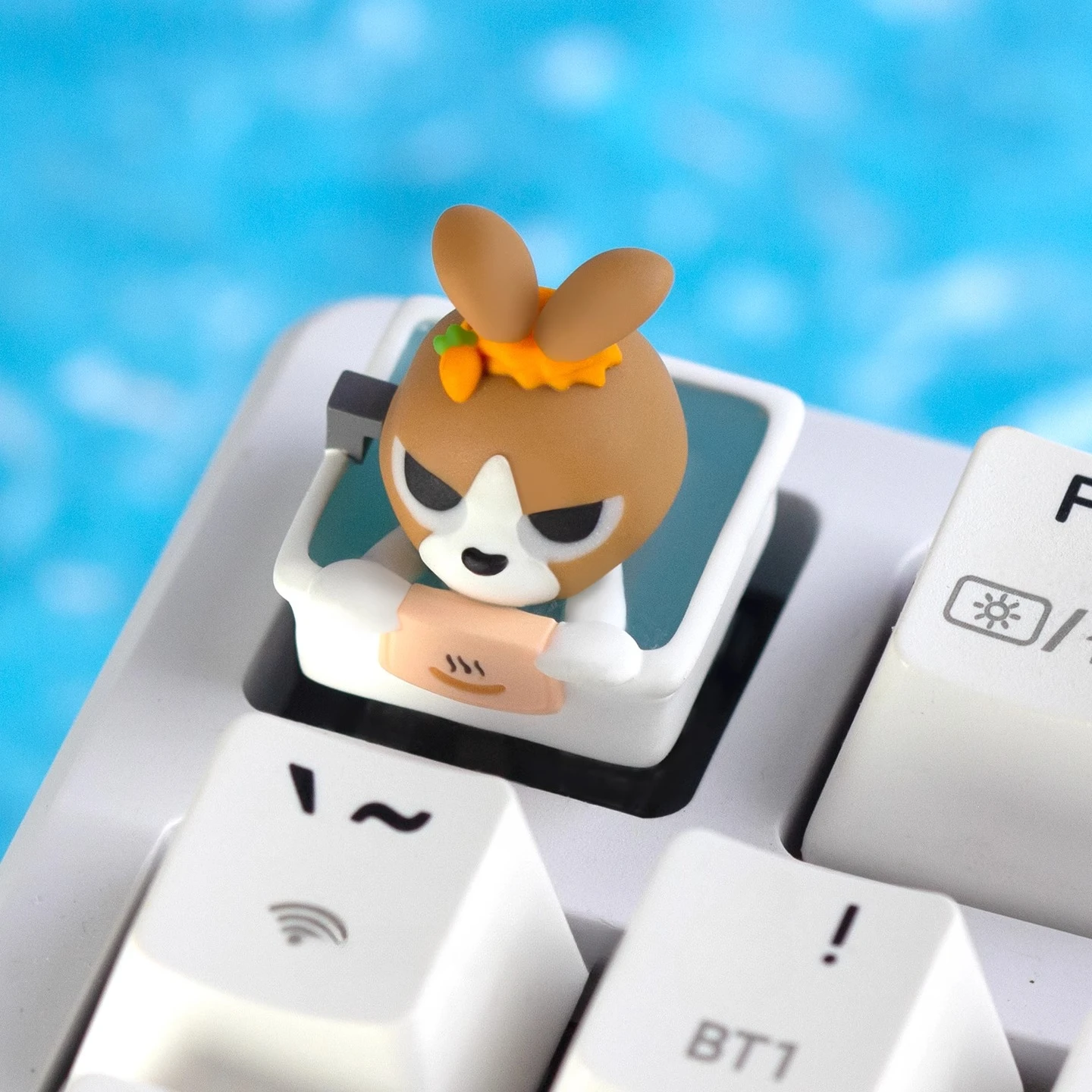 

MAIMOOO Cute Keycap Siam LiPu Single Resin Cartoon Personalized Animal Character Keycaps for Mechanical Keyboard Custom ESC Gift