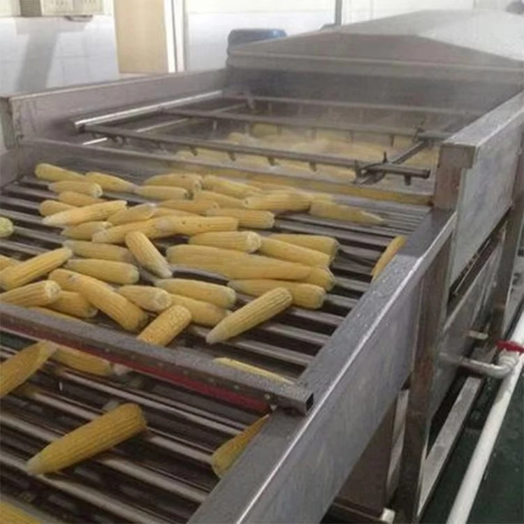FOODLINE Fruit and Vegetable Blanching Machine Industrial Steam Blanching Device for Fruit Canning Processing Plant