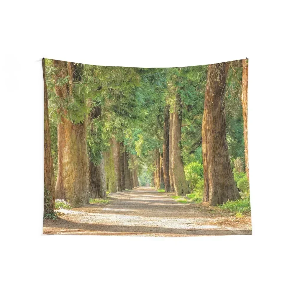 Back country road avenue of redwood trees nature forest color landscape photography Tapestry Home Decorating Tapestry