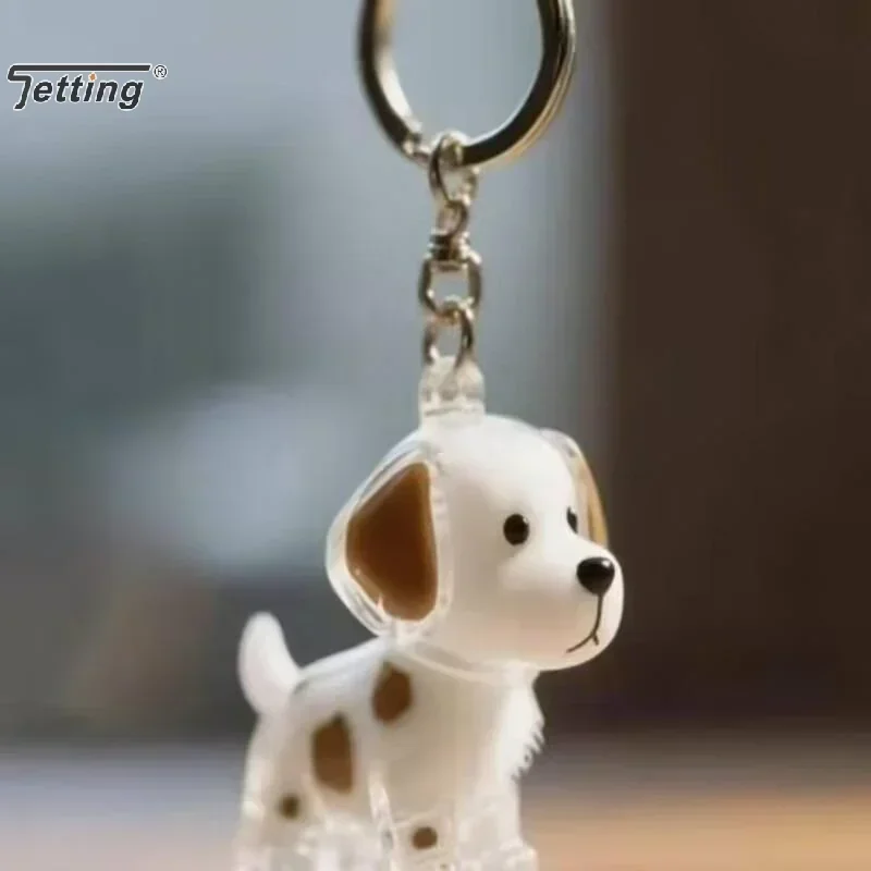 Collezione di peli di cani e gatti Ciondolo Scatola portaoggetti per capelli Borsa Fascino Pendenti per animali domestici Capsula per capelli trasparente Cani Gatti Souvenir Regalo