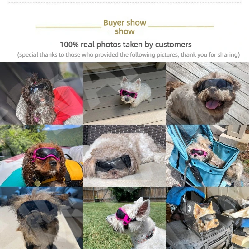 UV Pet Protective Goggles 4
