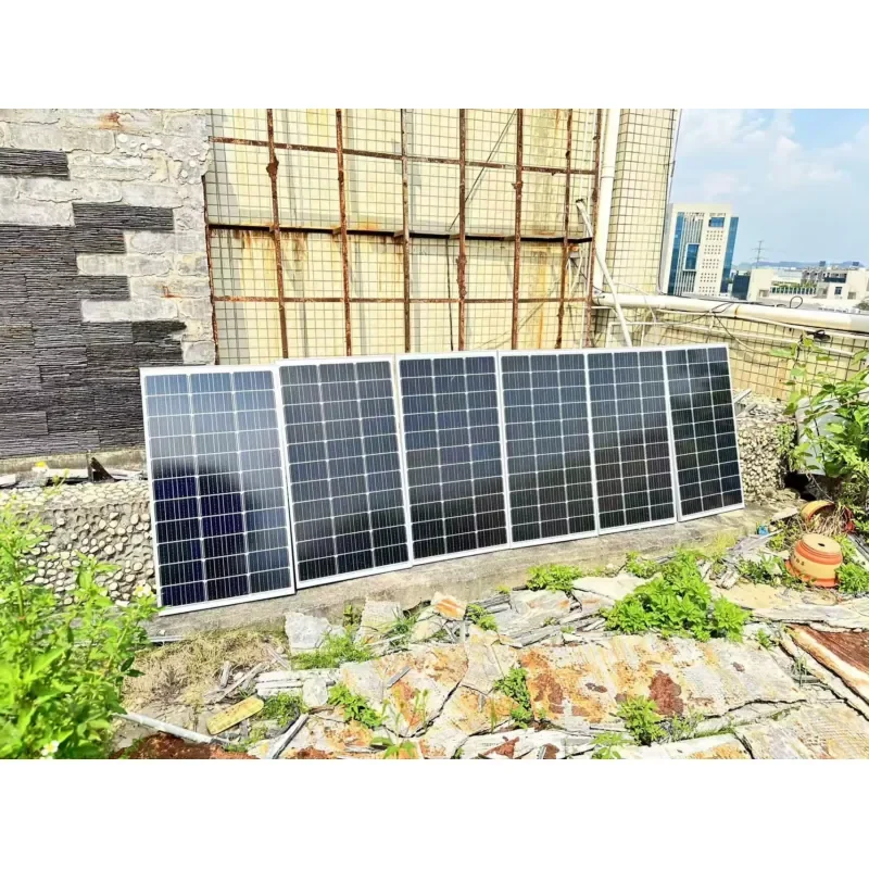 Single 24V/48V Solar DC Induction Stove Battery-Powered Drop-In Desktop Design for Car Hotel Use-1000W 1500W Microlite Panel view 4