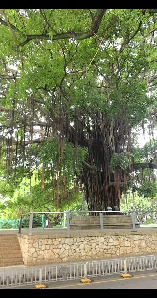 

Upgrade original 72mm front and rear tires 12mm HEX for 1/12 1/14 1/16 remote control off-road vehicles