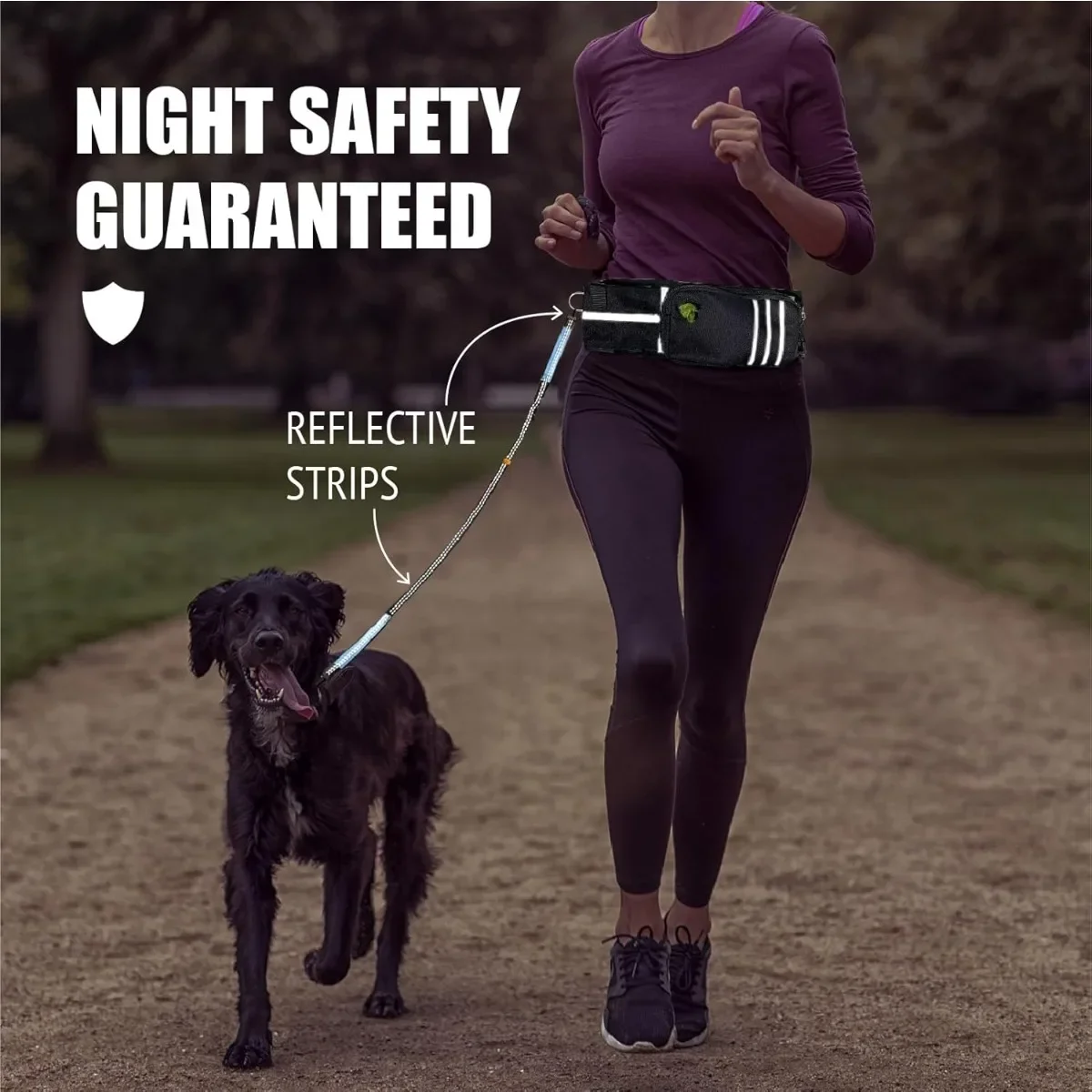 Hands Free Large Dogs Leash with Pouch Retractable Bungee Adjustable Waist Leash for Training Running Dog Exercise Traction Rope
