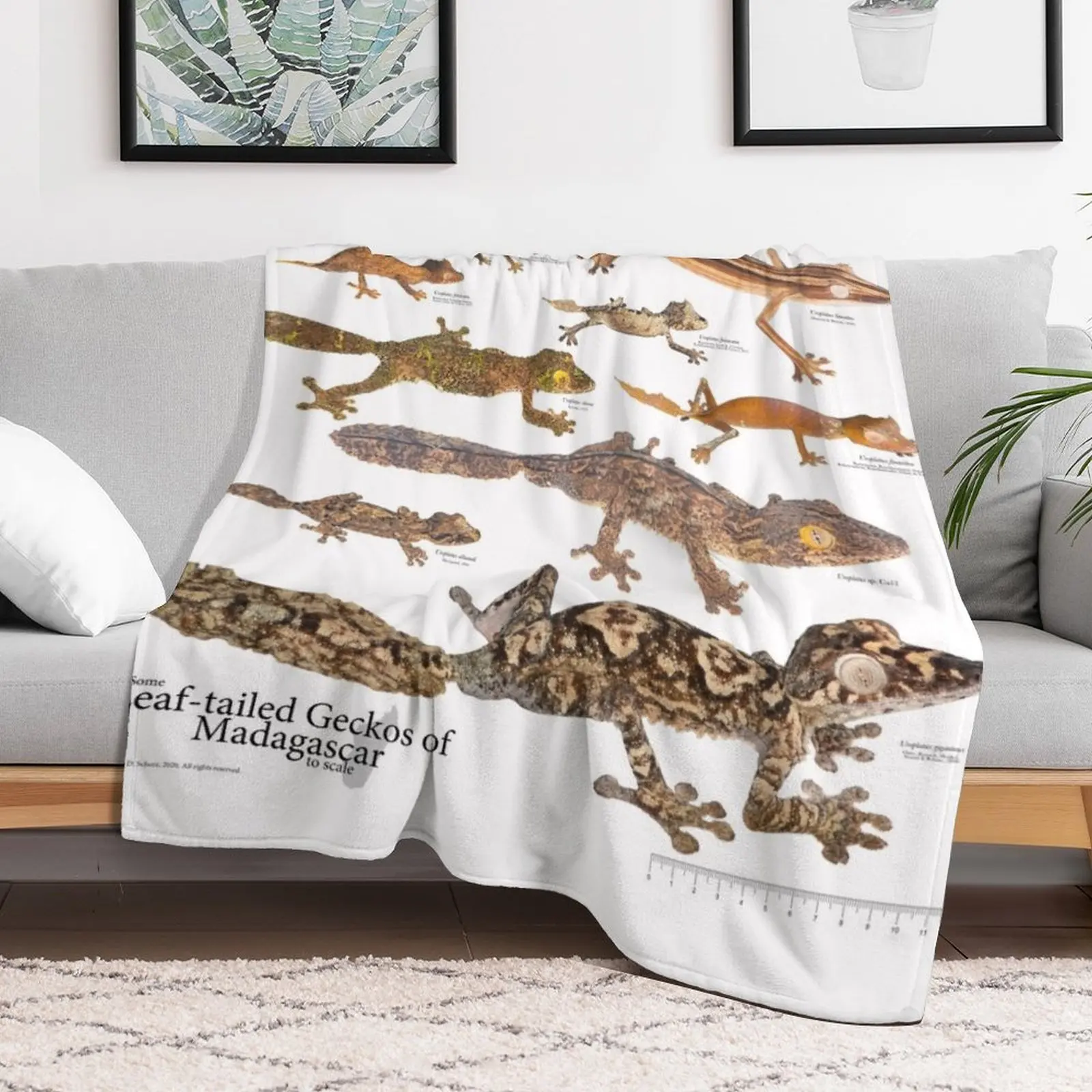 Some Leaf-Tailed Geckos of Madagascar to Scale, Version 1.0 Throw Blanket Decorative Beds cosplay anime Heavy Blankets