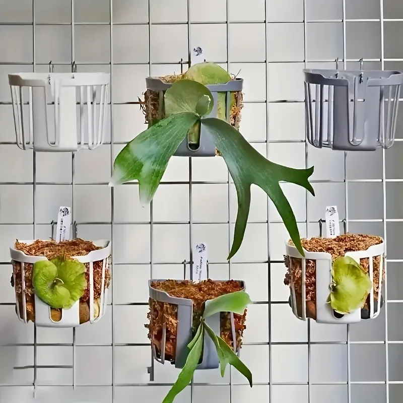 pots for hanging plants Natural Branch Hanging Planter – Knotty Traditions