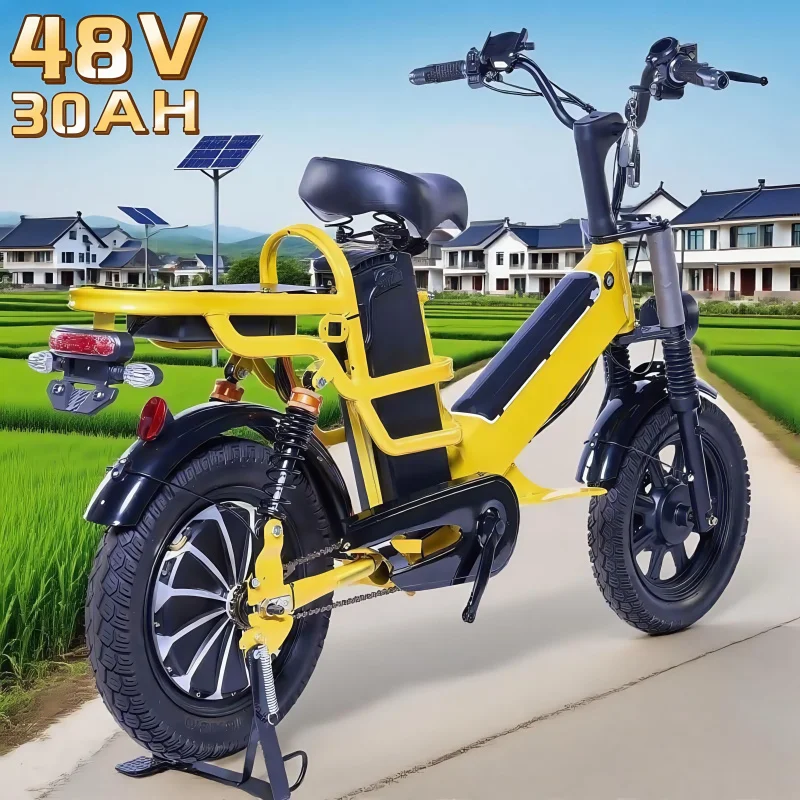 

Hot-selling 16-inch large storage space long range large load delivery car takeaway car