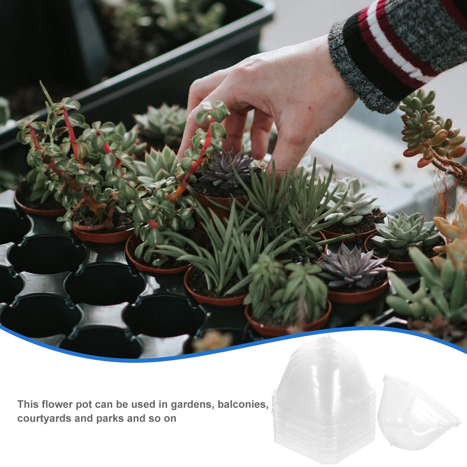 10Pcs Flower Pot Seedling Cover Premium Plastic Plant Nursery Cover with Adjustable Vent Transparent for Garden Protection Mini