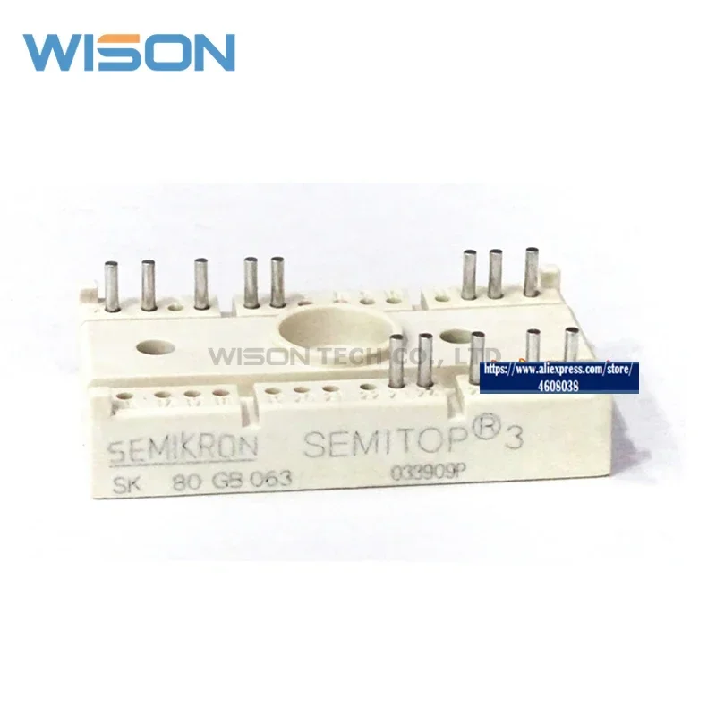 SK80GB063 FREIES VERSCHIFFEN NEUE UND ORIGINAL MODUL