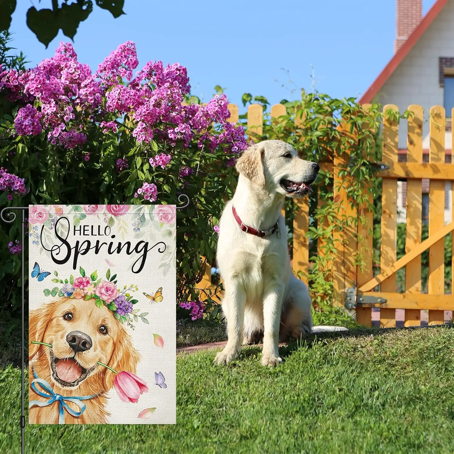 Louise Maelys Hello Spring Garden Flag Golden Retriever Floral Butterfly Double Sided 12x18 Inch Seasonal Welcome Small Burl WWP