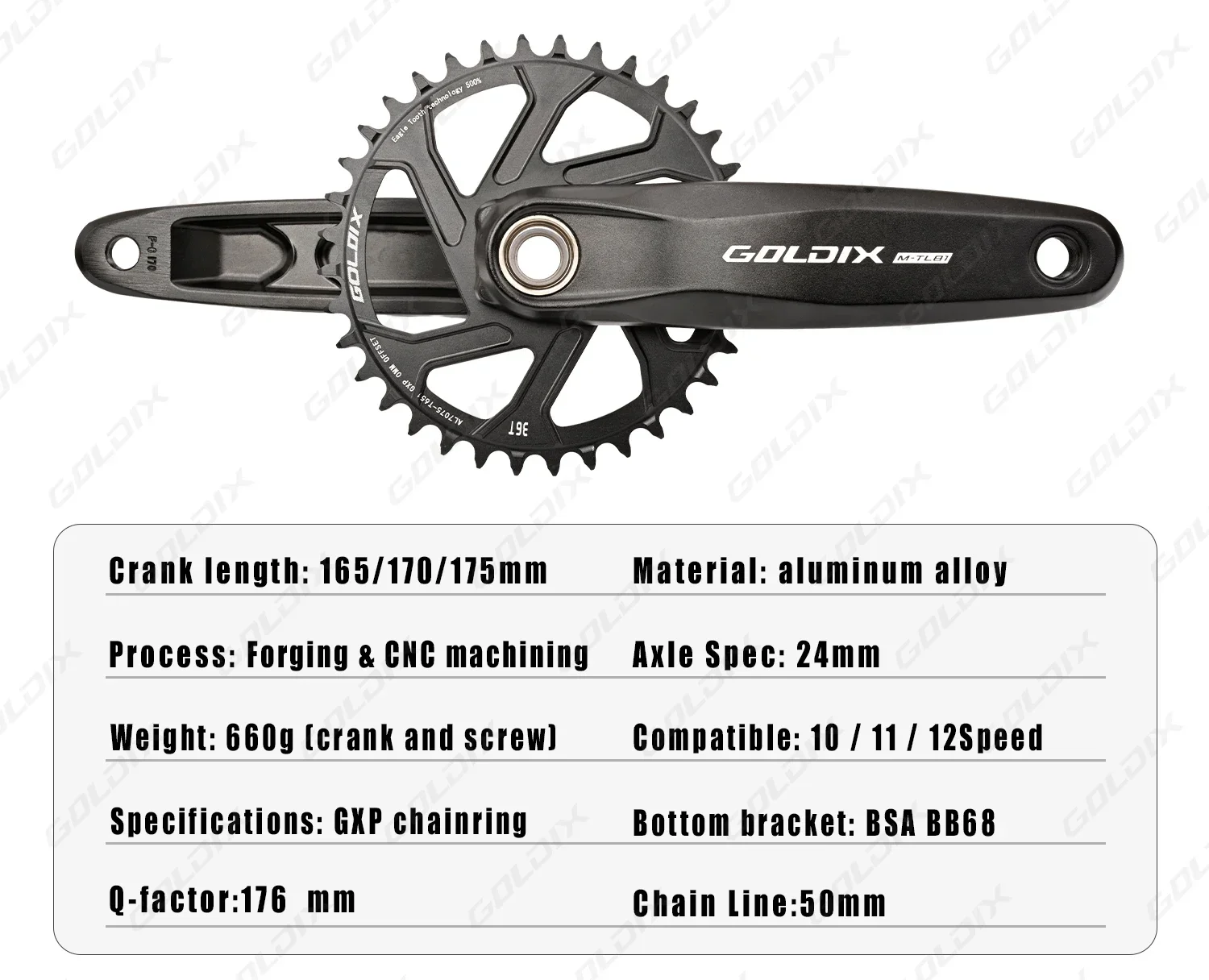 GOLDIX Hochfeste Fahrradkurbelgarnitur 175/170/165mm Geschmiedeter Legierungs-Kurbelarm 3-Bolzen-Direktmontage Schmal-Breit-Kettenblatt für MTB-Fahrrad – Detail 2