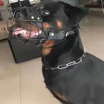 Stainless Steel Dog Muzzle for Rottweiler, Breathable Anti-Bite Mouth Guard, Prevent Accidental Ingestion & Scavenging