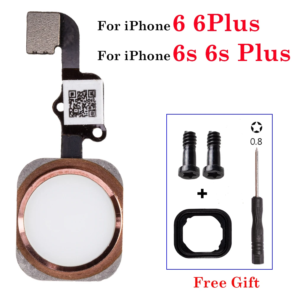 Everything You Need to Know About Flexed Products for Mobile Phones