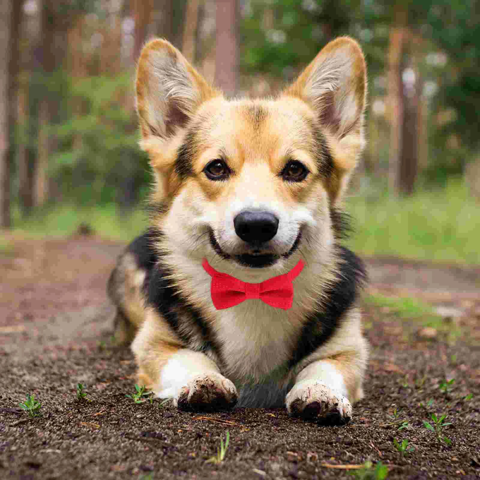 Pet Bow Tie Adjustable Collar Receive Flowers Festival for Dog Material Red Dotted