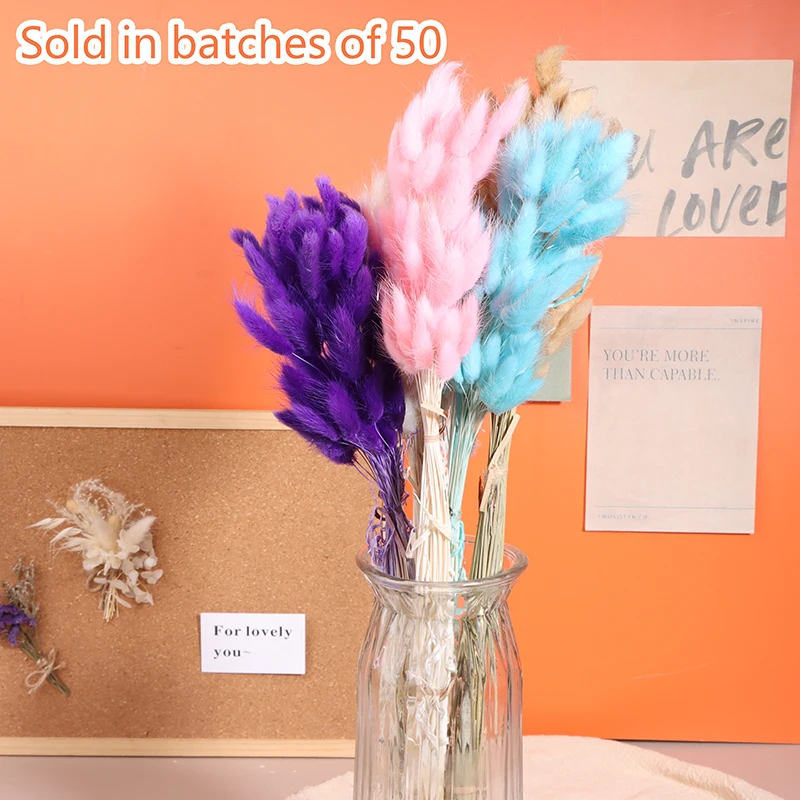 50 stks Natuur Konijn Staart Gras Gedroogde Bloem Boeket Bruiloft Decor Pluizige Pampas Kerst Diy Bloemstuk