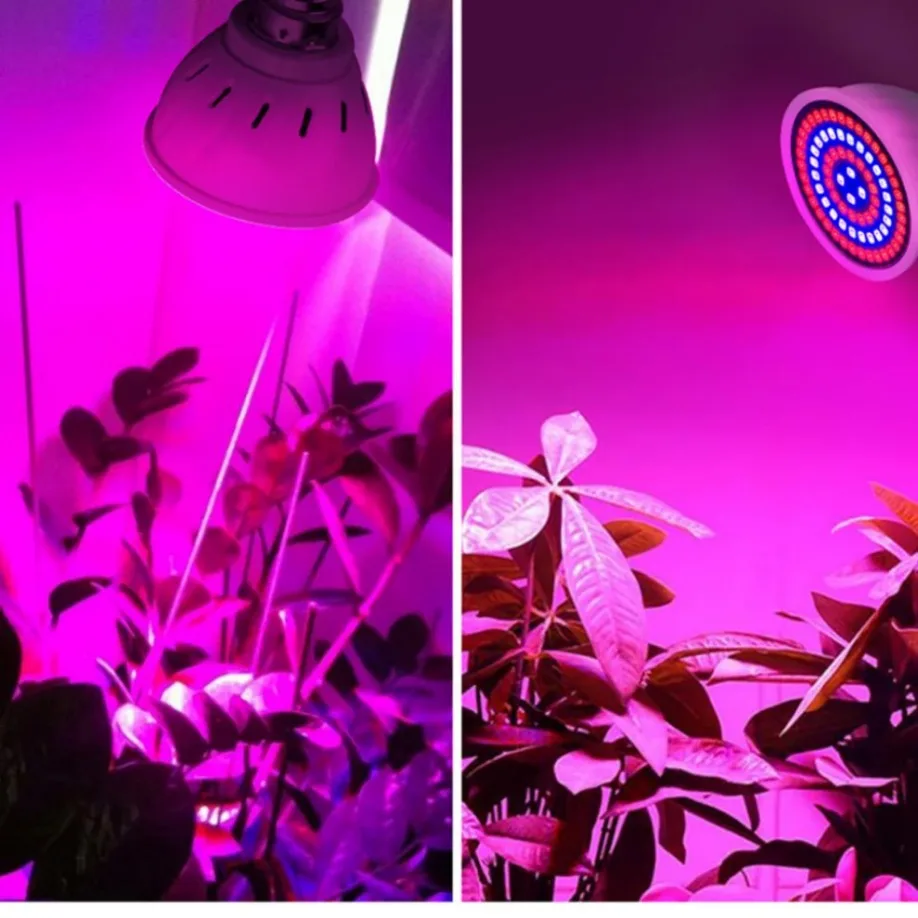 Bombilla LED E27 de espectro completo para iluminación interior, luz de plantas para invernadero, flores hidropónicas, plántulas, Phyto Lamp, 2 piezas, 220v