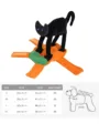 black cat
