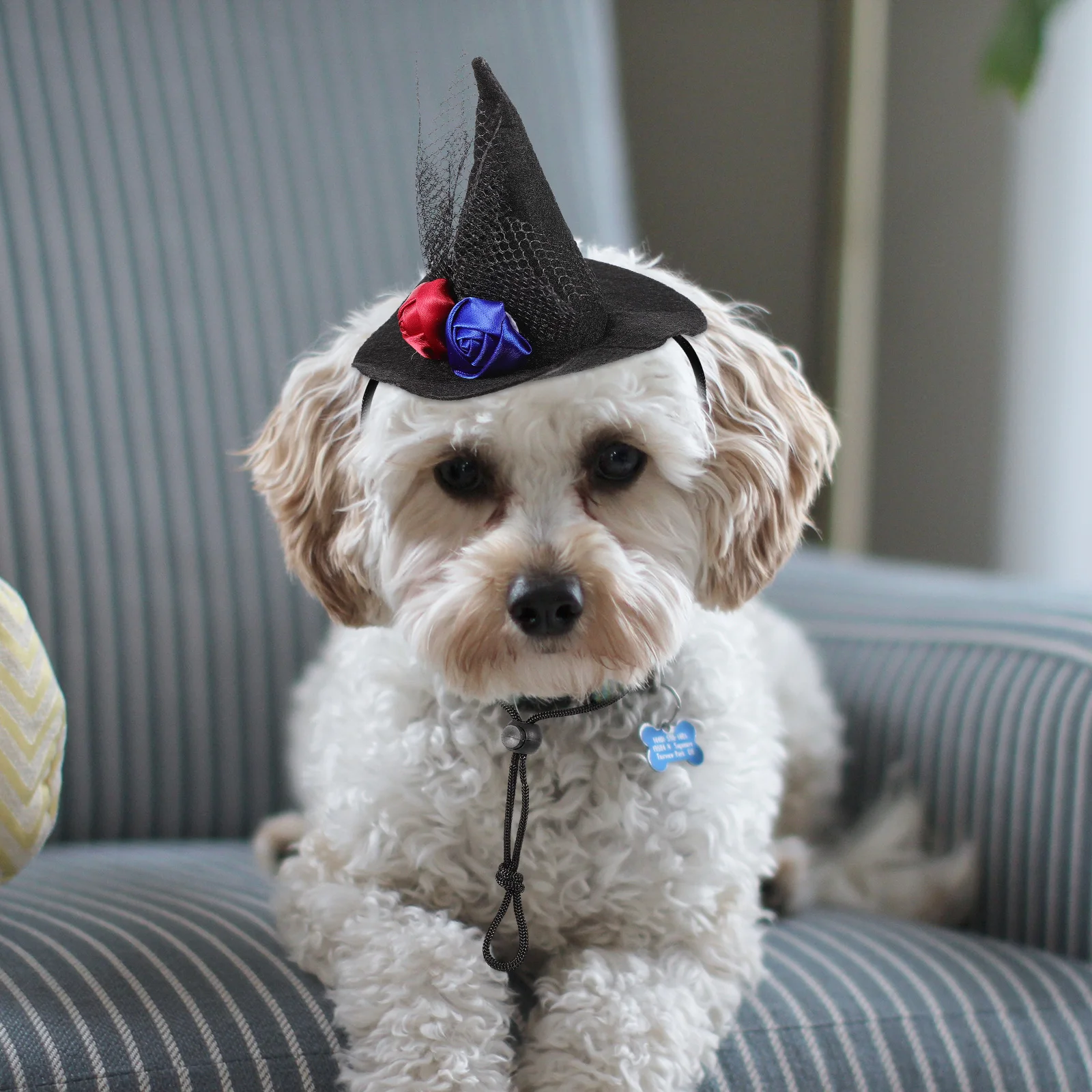 

Pumpkin Pet Halloween Hat Dog Cat Non woven Puppy Witch Comfortable Photo Prop Party Cosplay Holiday Outfit Pet Supplies