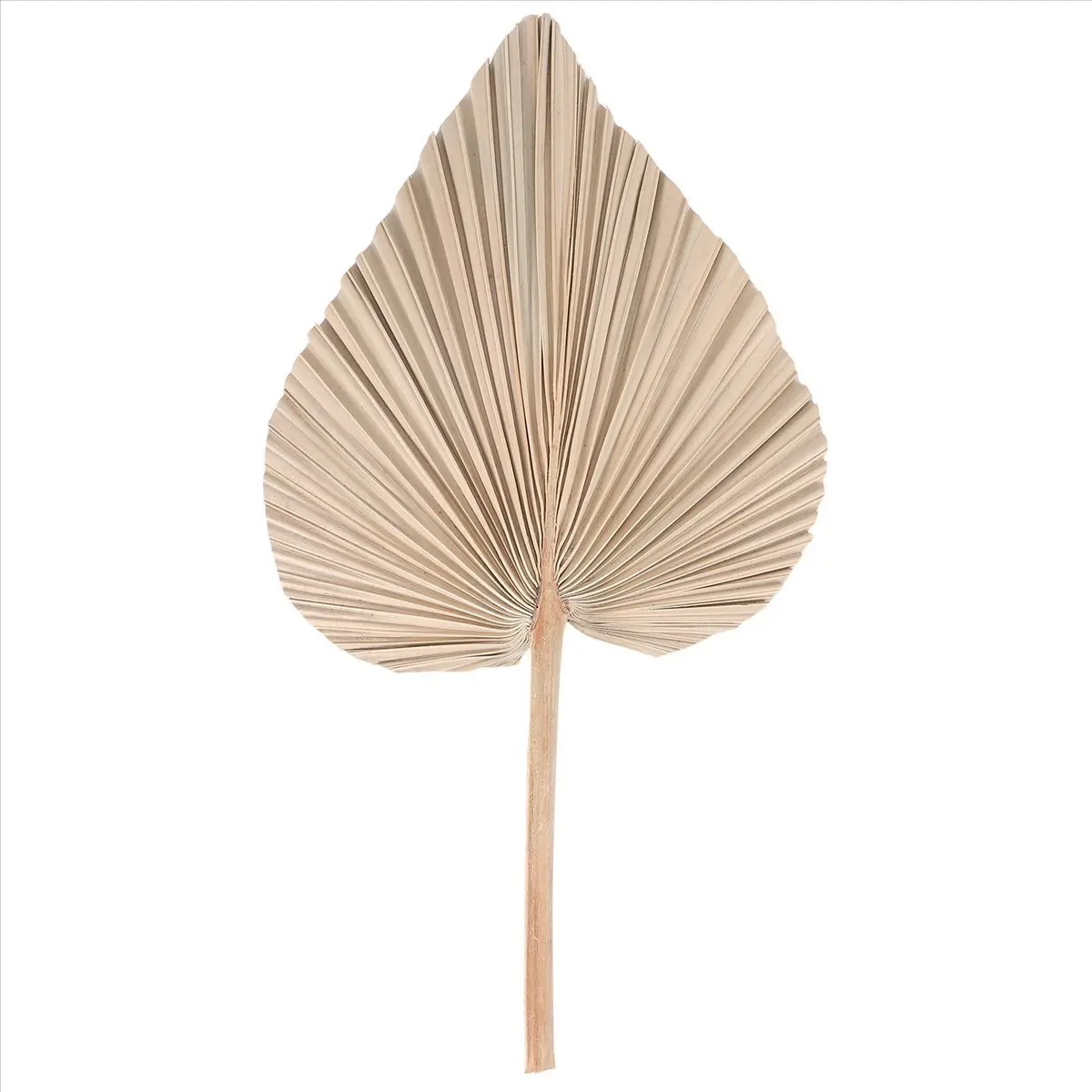 (ˉ﹃ˉ) Dried Palm Leaves Room Decor 5 Pieces - 18Inch H x 10Inch W Large Natural Palm Leaf Decor for A Beautiful Boho Look