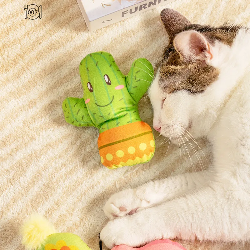 Cute Catnip Pets Toy CatMint Plush Toy Cat ProtectMouth Puppy Kitten TeethGrinding Cat Supplies PlushSnail Cactus Cat Toy