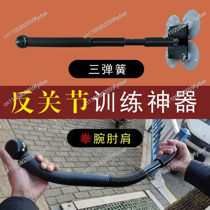 Tai Chi Push Hand S…