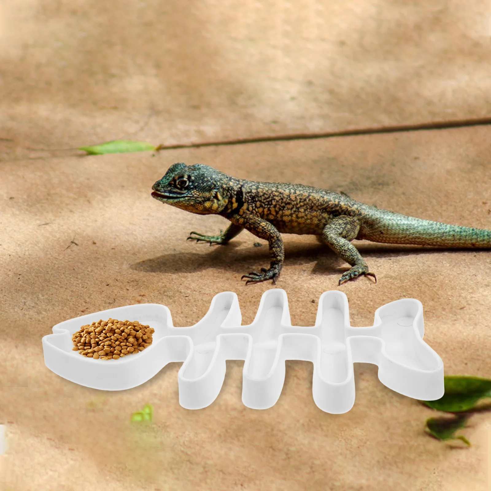 

Reptile Feeding Dish Durable Easy Clean Multifunctional Water Food Bowl for Tortoise Lizard Gecko Snake Frog Small Pets