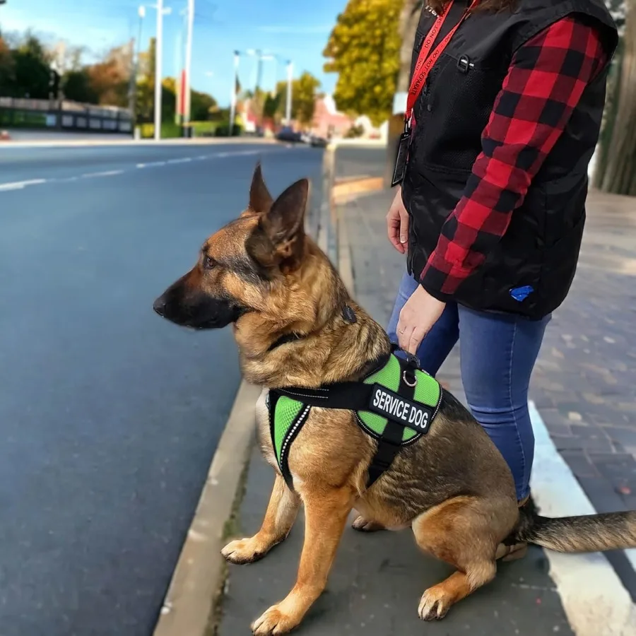 ActiveDogs Full Service Dog Kit - Small Lime - Service Vest Harness with Handle ID Holder ADA Cards Medical Alert Keychain Leas