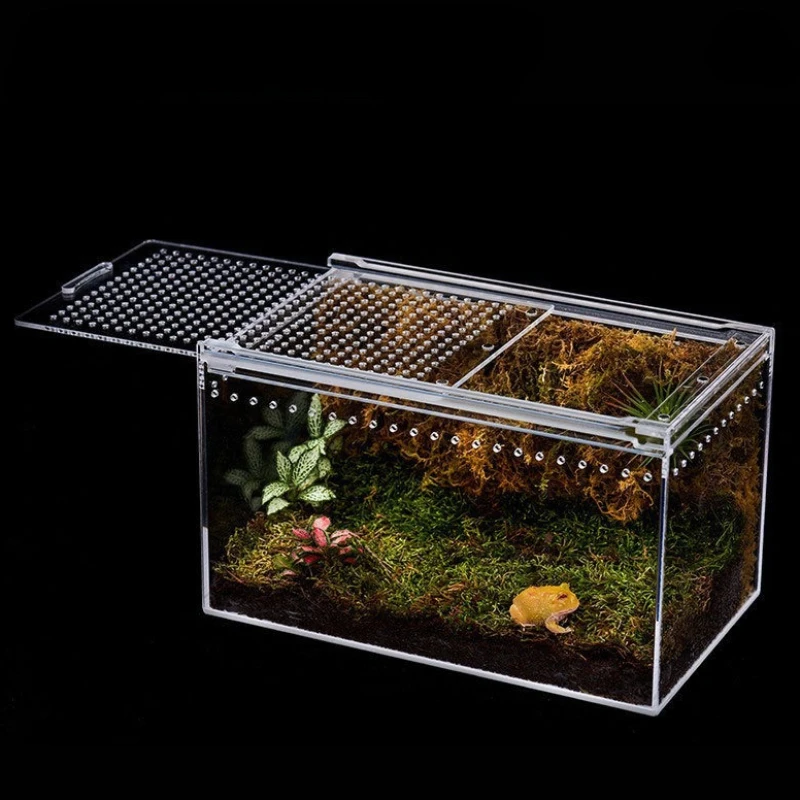 Transparent Reptile Breeding Box 10x8x7cm