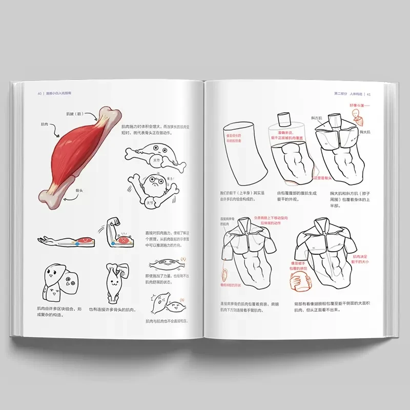 Руководство по начинающих комиксов Rinotuna: базовый курс аниме, нарисованная вручную художественная живопись - книга корейского художника для энтузиастов