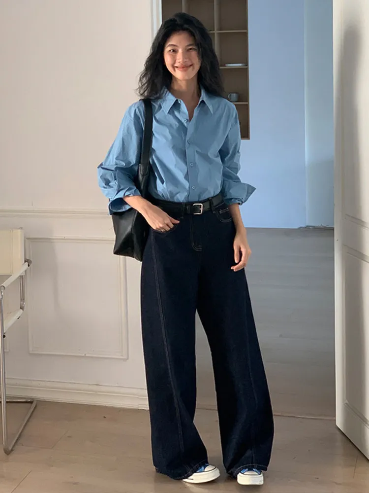 Slimming Blue Loose Style Women's Shirt Vintage Hong Kong Fashion Spring 2026 New Flip Collar Blouse Straight Cut Long Sleeve