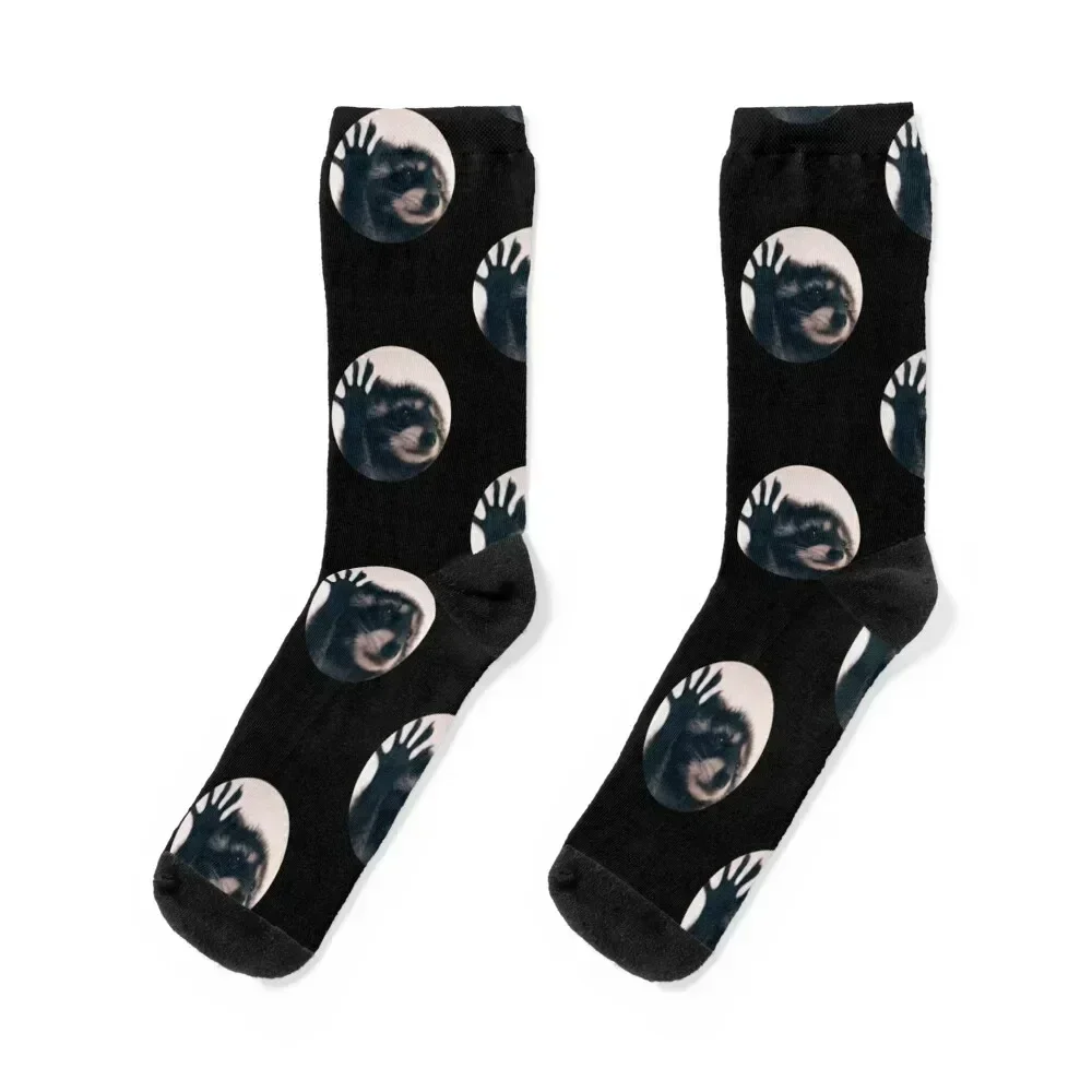 Raccoon dancing, viral video Pedro Socks shoes Rugby snow Crossfit Women's Socks Men's