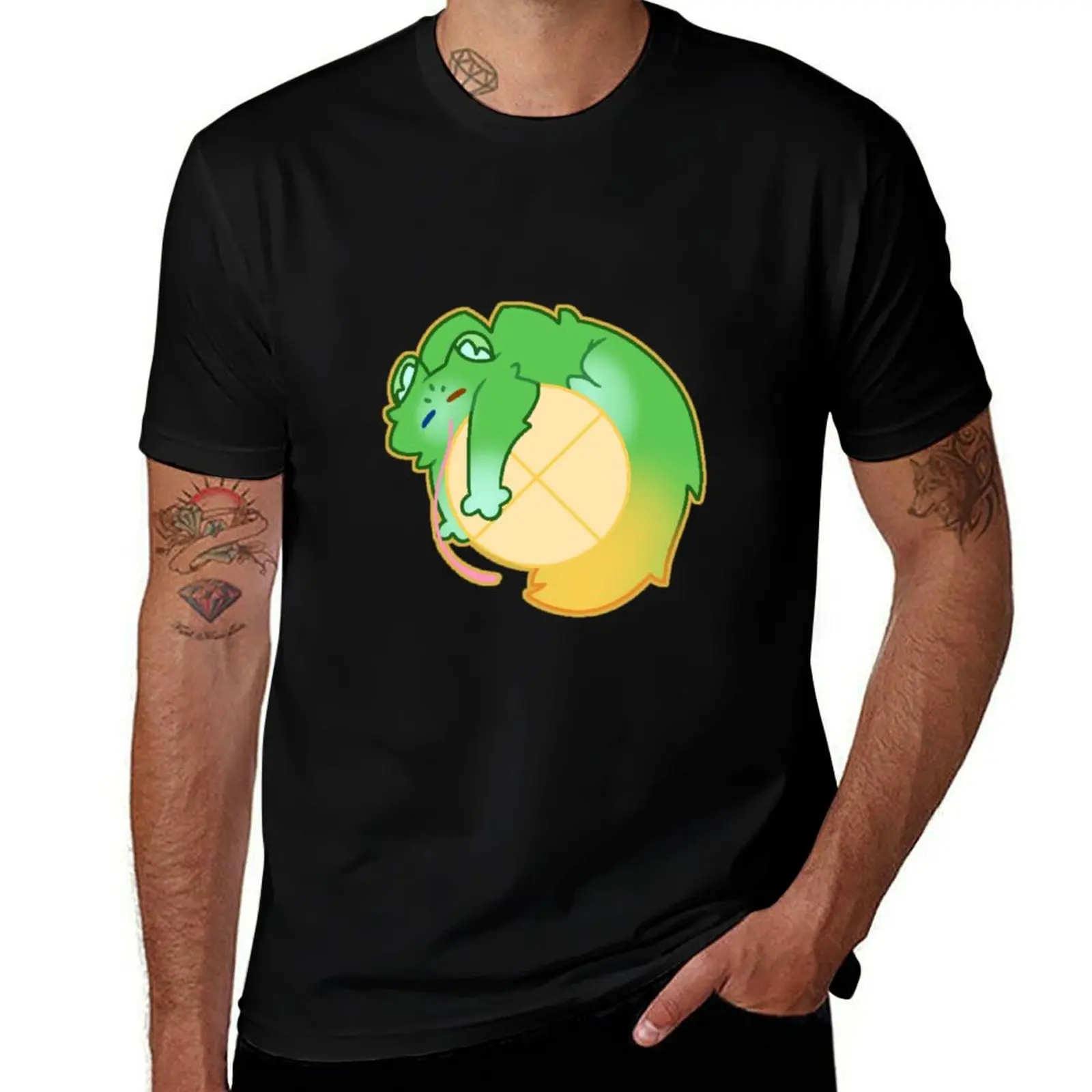 

Saint from Rain World T-Shirt t shirts for man pack white printed t shirts for man T-Shirt