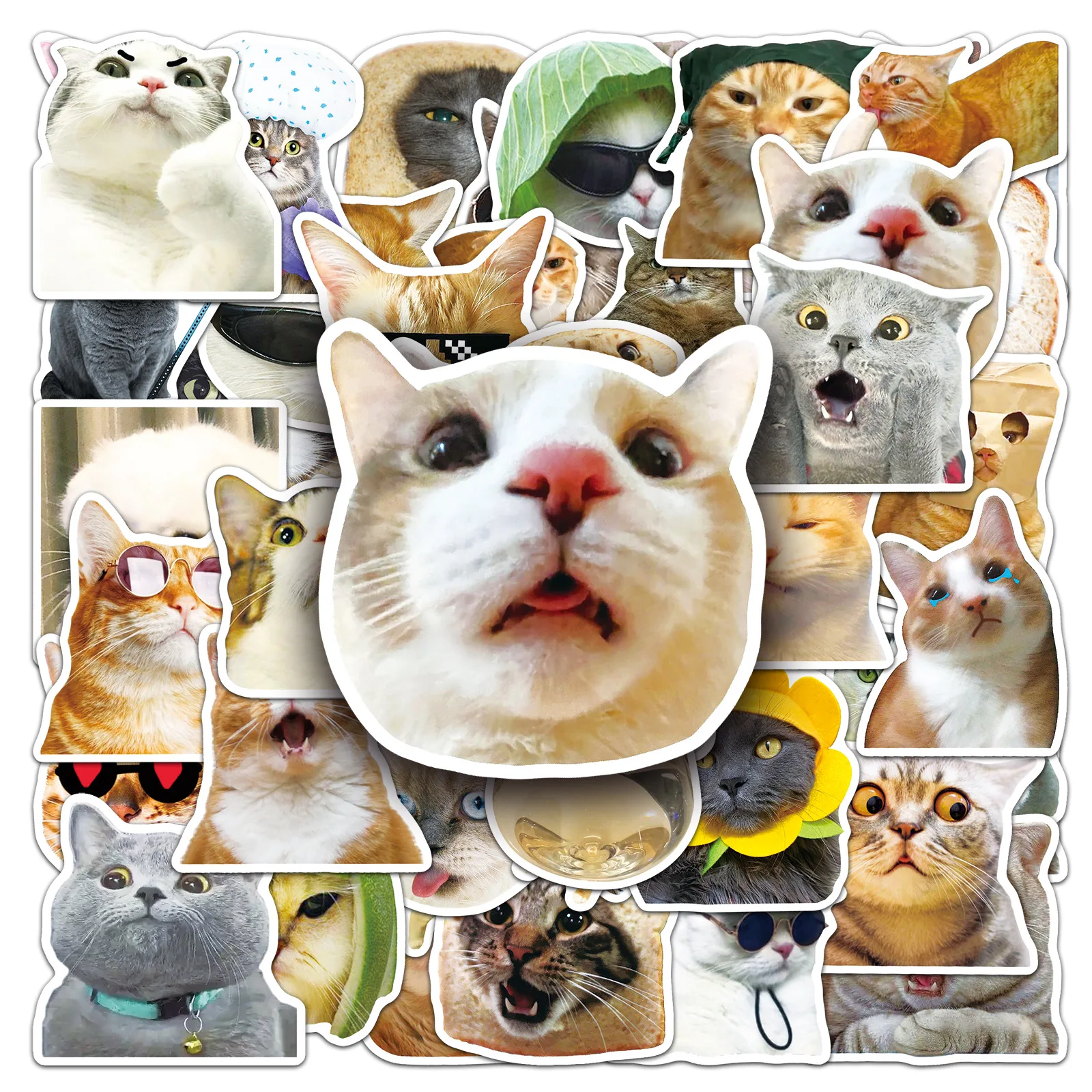 

50PCS Cartoon Kawaii Cat Meme Graffiti Stickers DIY Notebook Luggage Laptop Phone Guitar Stationery Cute Funny Decal Toy Sticker