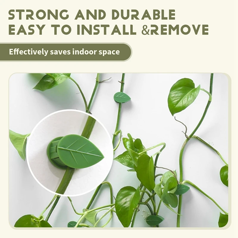 M11K-50PCS Garden Plant Clips,Plants Climbing Wall Support Snap Fixture Clips Self-Adhesive Fixer Sticky Hook