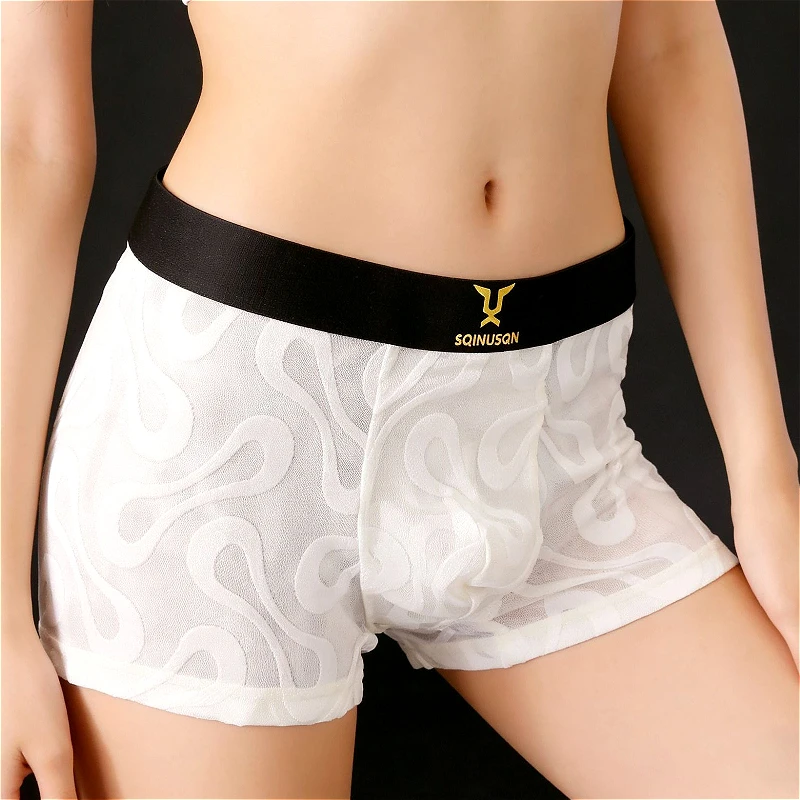Sexy Herrenunterwäsche aus Eis – Boxer Shorts Modal Bewertung und Preis